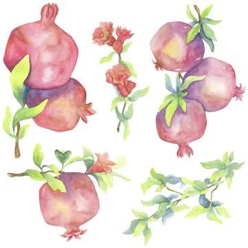 Pomegranates watercolor set. Sunny fruits, red flowers and green leaves. Stock Illustration