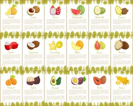 Pomelo and Longan Posters Vector Illustration Stock Illustration