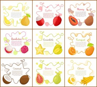 Pomelo and Lychee Mango Set Vector Illustration Illustrazione stock