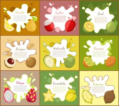 Pomelo and Lychee Posters Set Vector Illustration Illustrazione stock