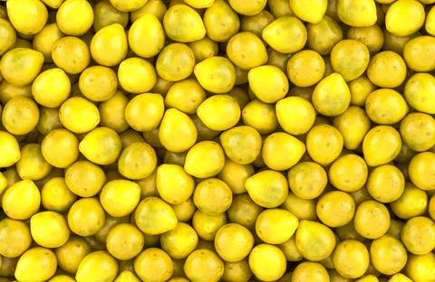 Pomelo background, wallpaper. 3D rendering Stock Illustration