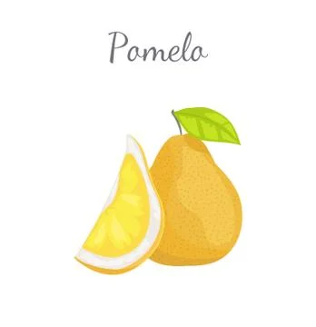 Pomelo Exotic Fruit Vector Tropical Food Icon Illustrazione stock