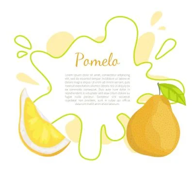 Pomelo Exotic Fruit Vector Tropical Food Poster Illustrazione stock
