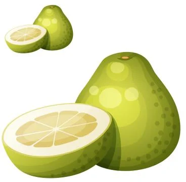 Pomelo fruit. Cartoon vector icon isolated Stock Illustration