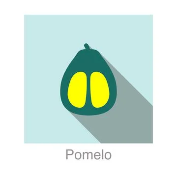 Pomelo fruit flat icon, vector illustration 스톡 일러스트