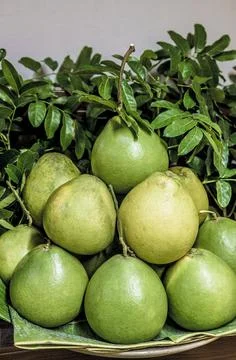 Pomelo fruit on a pile Stock Photos