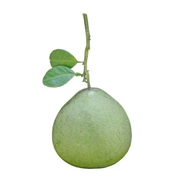 Pomelo isolated on white Stock Photos