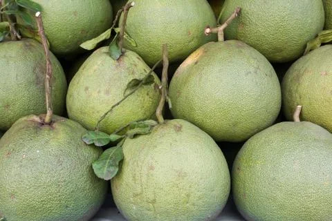 Pomelo or pummelo Stock Photos
