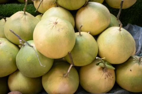 Pomelo Stock Photos