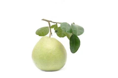 Pomelo with on white background Stock Photos