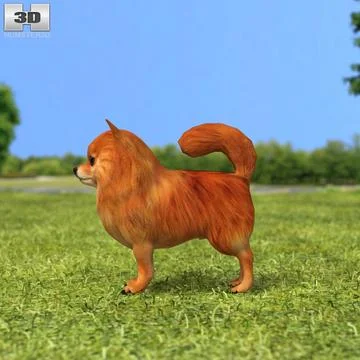 Pomeranian 3d Model Download 96428594 Pond5