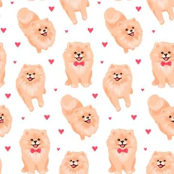 Pomeranian Spitz puppy seamless pattern. Small German spitz all over print Stock Illustration