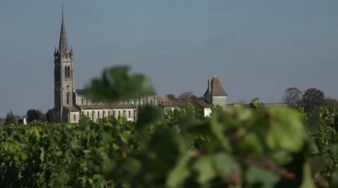 Pomerol in Bordeaux vineyard Stock-Footage 55564600