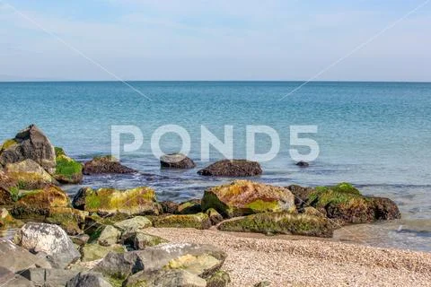 Pomorie, Bulgaria - March 02, 2019: Spring Walk Through The Central Part Of T Stock Photos