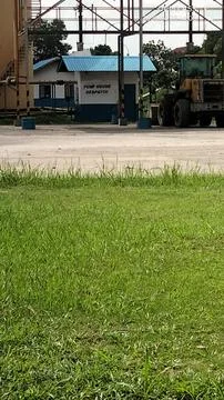 Pomp natural Stock-Fotos