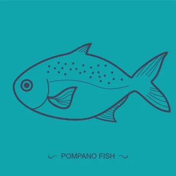 Pompano Fish Stock-Illustration
