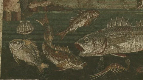 Pompei Fish Mosaic Video stock 792124