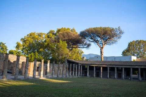 Pompeii gladiator barracks with pine trees Stock Photos