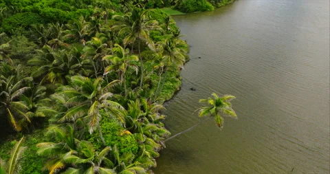 Pond 001 Stock Footage 339791357