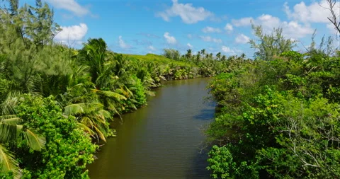 Pond 002 Stock Footage 339791432