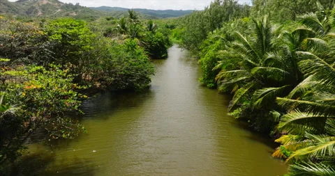 Pond 004 Stock Footage 339791388