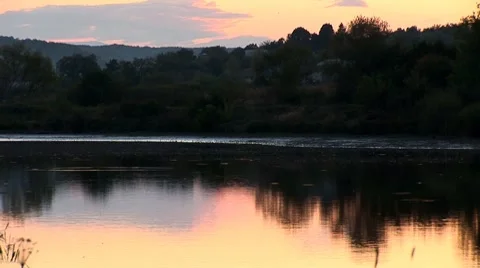 Pond 2 Stock Footage 8795545