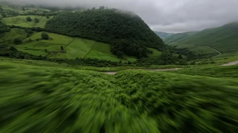 Pond 2 Stock-Footage 312700408