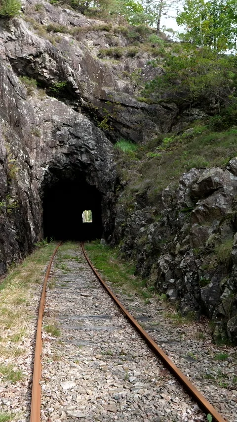 Pond 5 only Vertical. Walking on old disused railroad track into the tunnel. 스톡 동영상 285740703