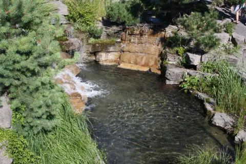 Pond 6 写真素材