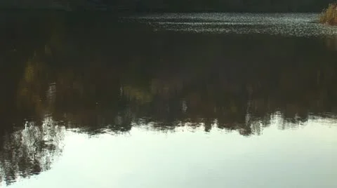 Pond 7 Stock Footage 8920390