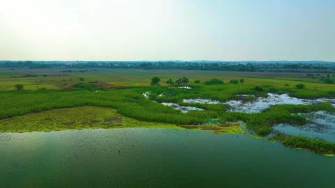 Pond - Aerial View - Downwards Video stock 254264005