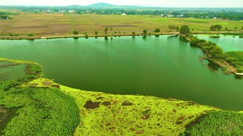 Pond - Aerial View - Forwards Stock Footage 254264086