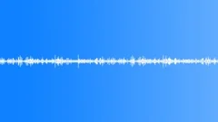 Pond ambience 01 loopSound Effect