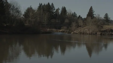 Pond and Bridge Video stock 34370663