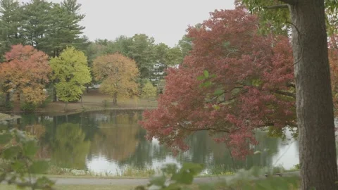 Pond and fall foliage 库存影片 304372995