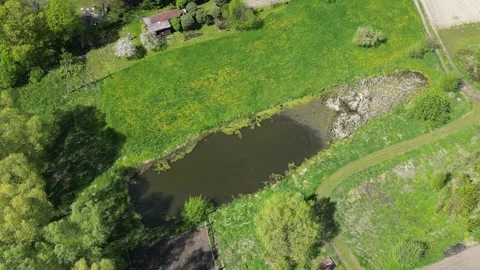 Pond and fields in Boreczno Stock Footage 307680218