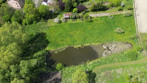 Pond and fields in Boreczno Stock Footage 307680794