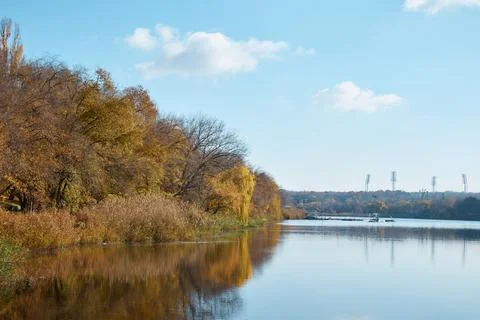 Pond and forest on the shore, autumn landscape, wake park Stock Photos