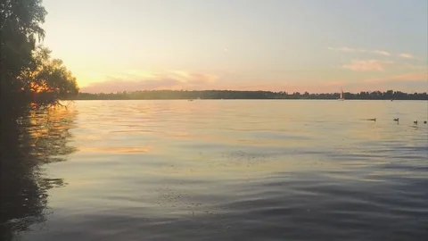 Pond And Forest In Summer evening Timelapse Vidéo 82052405