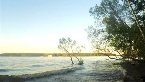 Pond and forest at sunset in summer timelapse 스톡 동영상 87221211