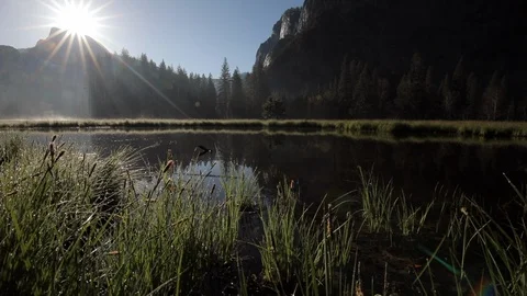 Pond and Grass on a Slider Video stock 87093359