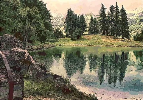 Pond and large pine trees in the forest painting Stock Photos