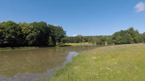 Pond and meadow while riding horse and carriage Stock Footage 92545756