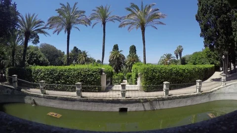 Pond and palm trees in a green park Stock Footage