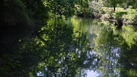 Pond and reflection on the water surface, camera movement towards the shore Video stock 130250552