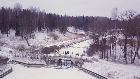 Pond and river with bridge in the middle of the forest Stock Footage 101221346