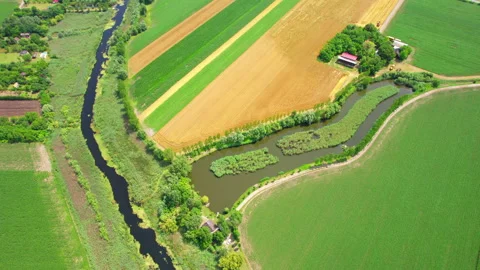 A pond and a river in the middle of huge agricultural land creating patchwork Stock Footage 262897285