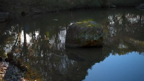 Pond and rock Stock Footage 165972629