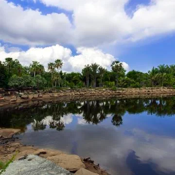 Pond and Sky. Stock Photos
