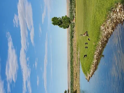 Pond and sky Stock Photos